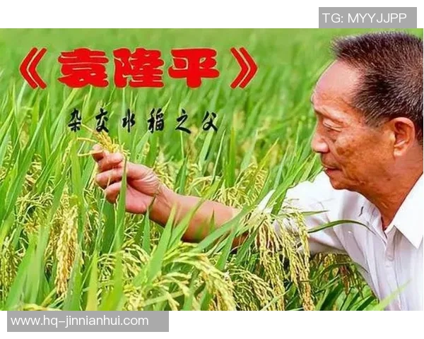 谢什科的传奇人生与艺术成就探索：从平凡到卓越的奋斗历程